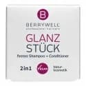 BW 2 IN 1 FESTES SHAMPOO + CONDITIONER