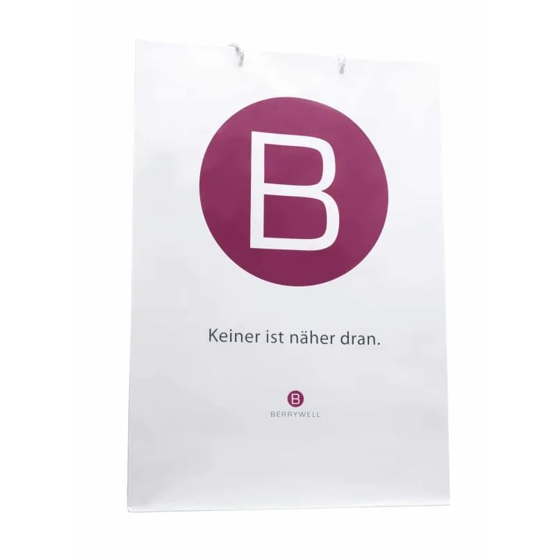 BW Papier Tragetasche, Berrywell, groß