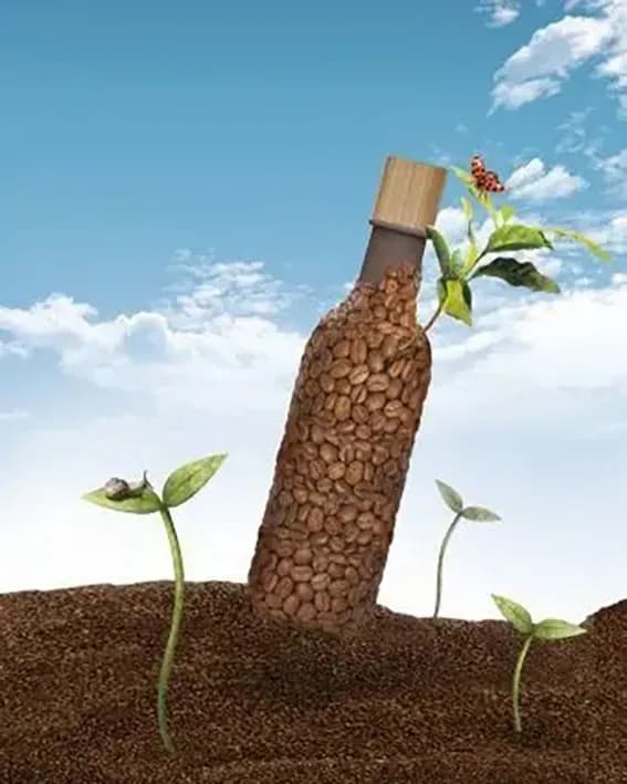 Natürliches Koffein Shampoo im Großhandel – Professionelle Lösung für feines Haar
